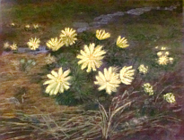 zum Vergrern bitte anklicken