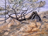 zum Vergrern bitte anklicken