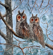 zum Vergrern bitte anklicken