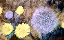 zum Vergrern bitte anklicken