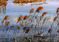 zum Vergrern bitte anklicken